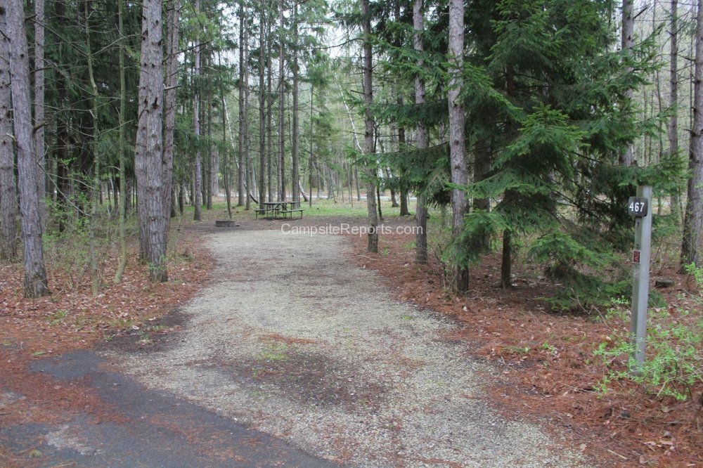 Photo of Campsite 467 in Campground Area Tennison Bay at Peninsula